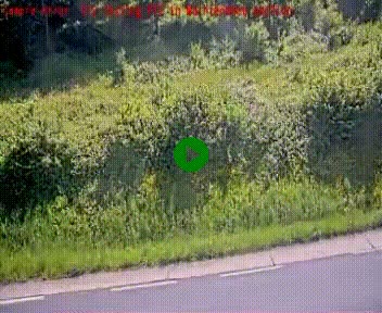[title]