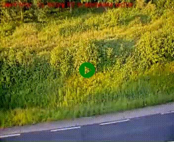 [title]