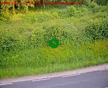 [title]