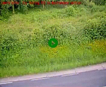[title]