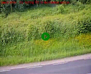 [title]