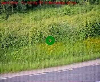 [title]