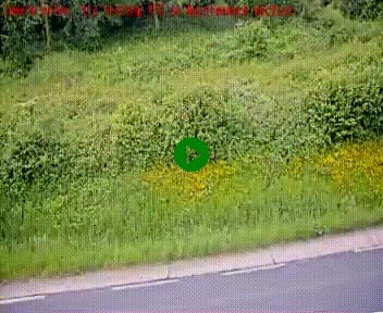 [title]