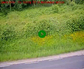 [title]