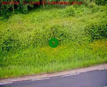 [title]