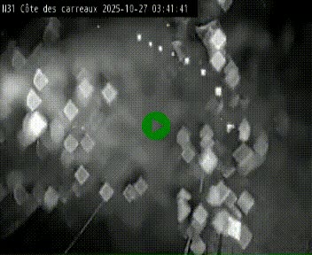 <h2>Webcam en haut de la Côte des Carreaux sur la N31 à Avesnes-en-Bray. Vue orientée vers Rouen</h2>