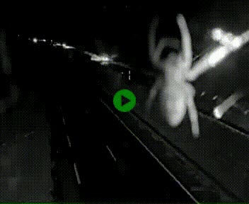 [title]