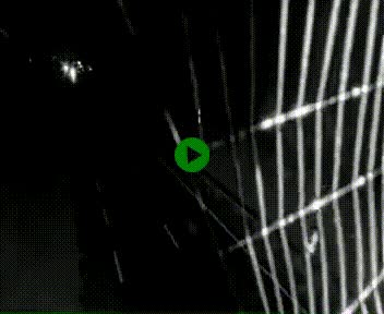 [title]