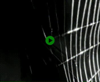 [title]