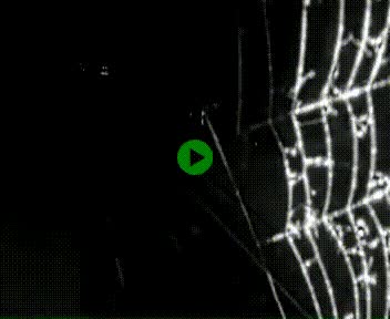 <h2>Webcam à hauteur de Vert-en-Drouais sur la N12, en périphérie de Dreux. Vue orientée vers Alençon</h2>