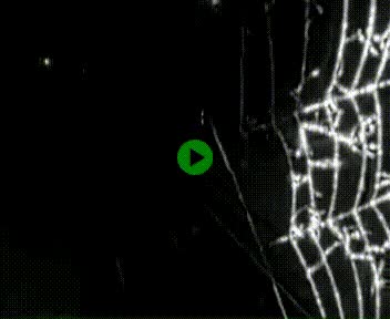 [title]