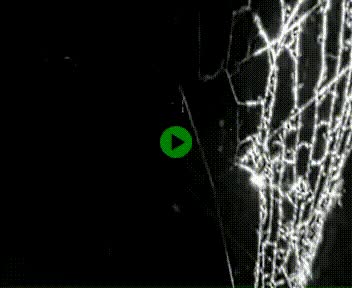 <h2>Webcam à hauteur de Vert-en-Drouais sur la N12, en périphérie de Dreux. Vue orientée vers Alençon</h2>