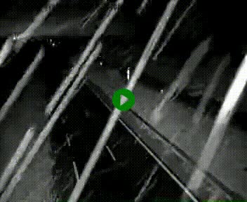 <h2>Webcam à hauteur de Vert-en-Drouais sur la N12, en périphérie de Dreux. Vue orientée vers Alençon</h2>