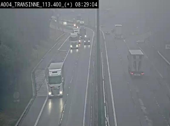 <h2>Webcam dans les Ardennes sur l'E411 à hauteur de Transinne. Vue orientée vers le sud de la Belgique</h2>