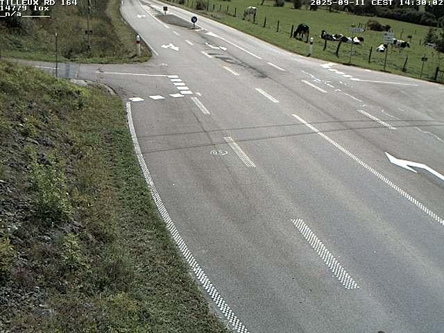 Webcam sur la RD164 à Tilleux. Vue orientée vers Neufchâteau