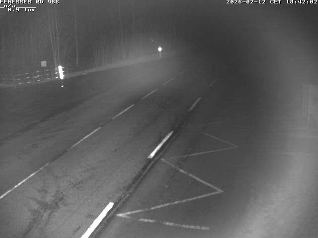 Webcam en haut du col des Fenesses, aussi appelé col du Ménil sur la D486 à 593 mètres d'altitude dans les Vosges