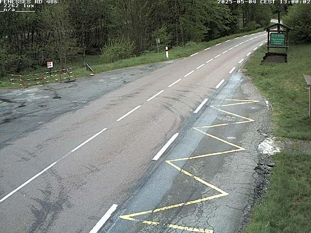 Webcam en haut du col des Fenesses, aussi appelé col du Ménil sur la D486 à 593 mètres d'altitude dans les Vosges