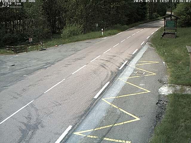 Webcam en haut du col des Fenesses, aussi appelé col du Ménil sur la D486 à 593 mètres d'altitude dans les Vosges