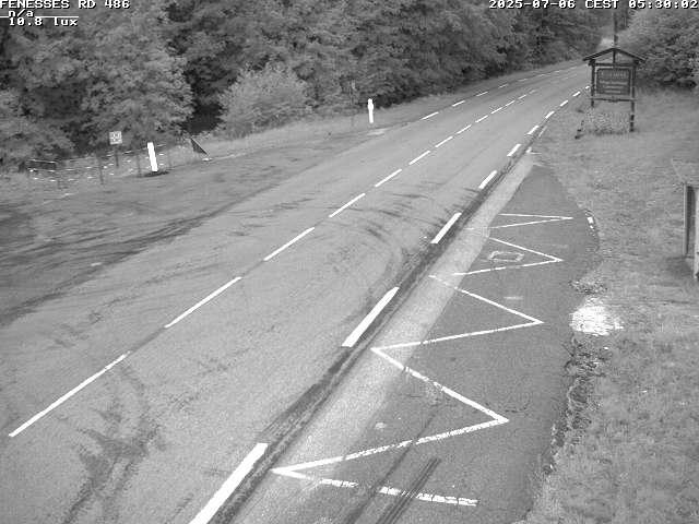 Webcam en haut du col des Fenesses, aussi appelé col du Ménil sur la D486 à 593 mètres d'altitude dans les Vosges