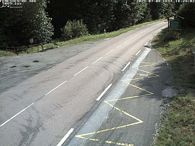 Webcam en haut du col des Fenesses, aussi appelé col du Ménil sur la D486 à 593 mètres d'altitude dans les Vosges