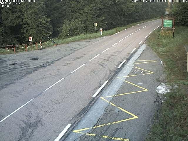 Webcam en haut du col des Fenesses, aussi appelé col du Ménil sur la D486 à 593 mètres d'altitude dans les Vosges