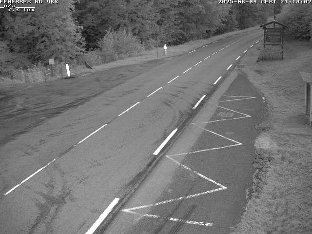 Webcam en haut du col des Fenesses, aussi appelé col du Ménil sur la D486 à 593 mètres d'altitude dans les Vosges