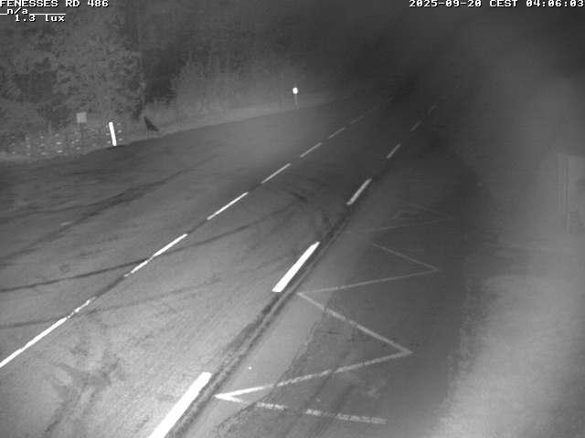 Webcam en haut du col des Fenesses, aussi appelé col du Ménil sur la D486 à 593 mètres d'altitude dans les Vosges