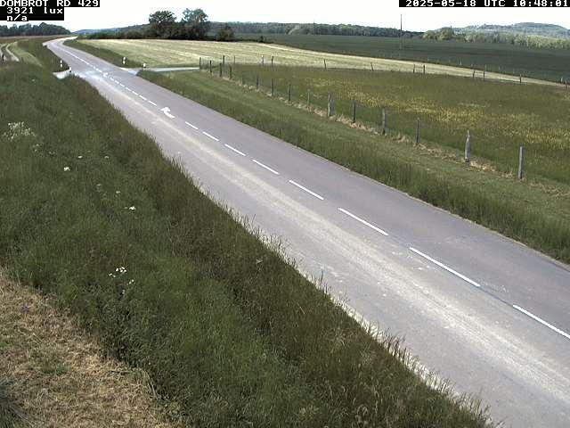 Webcam à Dombrot-le-Sec dans le département des Vosges sur la D429 à 407 mètres d'altitude