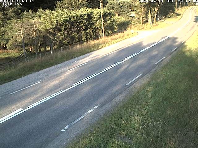 Webcam à 424 mètres d'altitude dans la Tranchée de Docelles dans les Vosges, à proximité d'Epinal sur la route de Gerardmer (D11)