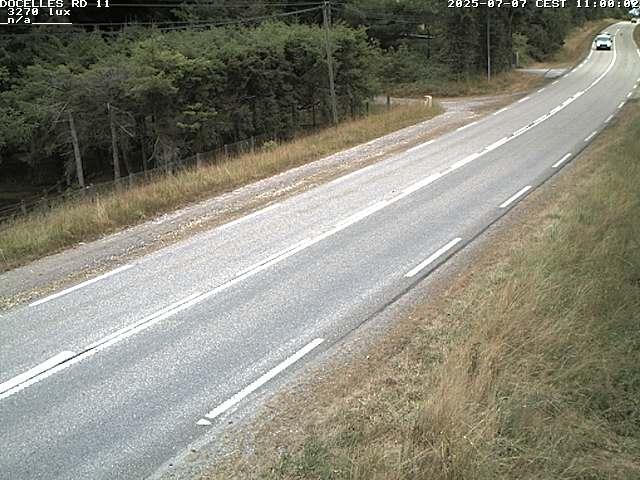 Webcam à 424 mètres d'altitude dans la Tranchée de Docelles dans les Vosges, à proximité d'Epinal sur la route de Gerardmer (D11)