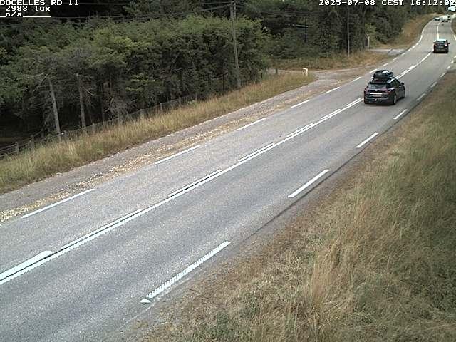 Webcam à 424 mètres d'altitude dans la Tranchée de Docelles dans les Vosges, à proximité d'Epinal sur la route de Gerardmer (D11)