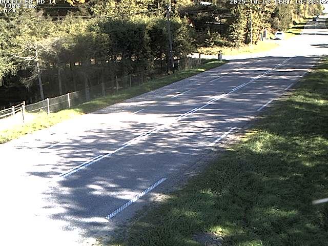 <h2>Webcam à 424 mètres d'altitude dans la Tranchée de Docelles dans les Vosges, à proximité d'Epinal sur la route de Gerardmer (D11)</h2>