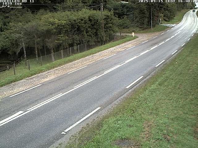 Webcam à 424 mètres d'altitude dans la Tranchée de Docelles dans les Vosges, à proximité d'Epinal sur la route de Gerardmer (D11)