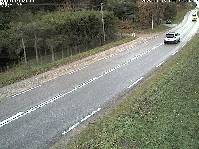 <h2>Webcam à 424 mètres d'altitude dans la Tranchée de Docelles dans les Vosges, à proximité d'Epinal sur la route de Gerardmer (D11)</h2>