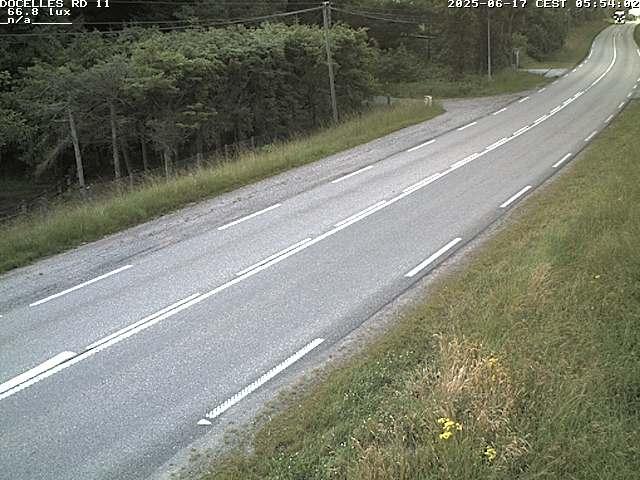 Webcam à 424 mètres d'altitude dans la Tranchée de Docelles dans les Vosges, à proximité d'Epinal sur la route de Gerardmer (D11)