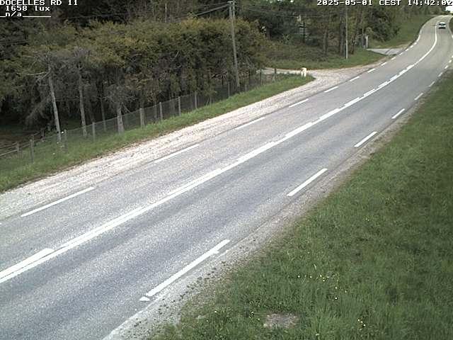 Webcam à 424 mètres d'altitude dans la Tranchée de Docelles dans les Vosges, à proximité d'Epinal sur la route de Gerardmer (D11)