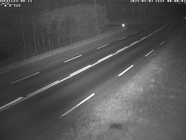 Webcam à 424 mètres d'altitude dans la Tranchée de Docelles dans les Vosges, à proximité d'Epinal sur la route de Gerardmer (D11)