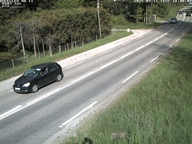 Webcam à 424 mètres d'altitude dans la Tranchée de Docelles dans les Vosges, à proximité d'Epinal sur la route de Gerardmer (D11)