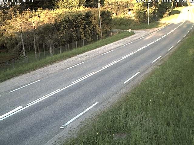 Webcam à 424 mètres d'altitude dans la Tranchée de Docelles dans les Vosges, à proximité d'Epinal sur la route de Gerardmer (D11)