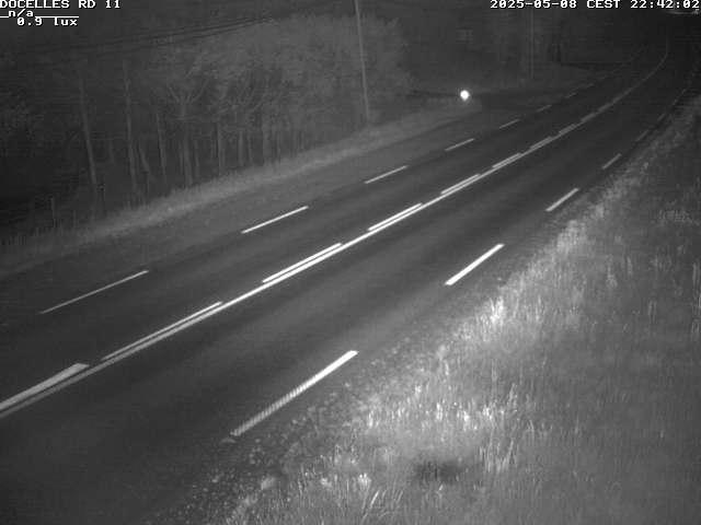 Webcam à 424 mètres d'altitude dans la Tranchée de Docelles dans les Vosges, à proximité d'Epinal sur la route de Gerardmer (D11)