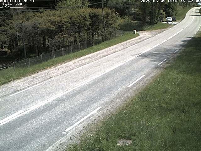 Webcam à 424 mètres d'altitude dans la Tranchée de Docelles dans les Vosges, à proximité d'Epinal sur la route de Gerardmer (D11)