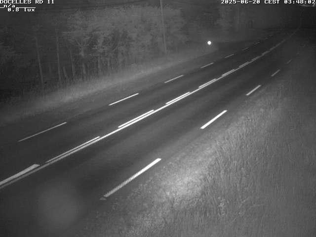 Webcam à 424 mètres d'altitude dans la Tranchée de Docelles dans les Vosges, à proximité d'Epinal sur la route de Gerardmer (D11)