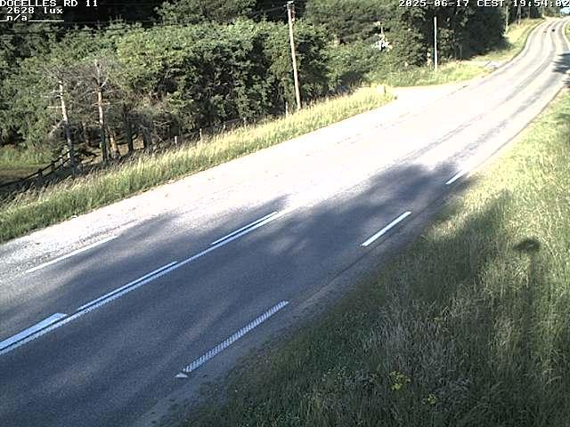Webcam à 424 mètres d'altitude dans la Tranchée de Docelles dans les Vosges, à proximité d'Epinal sur la route de Gerardmer (D11)