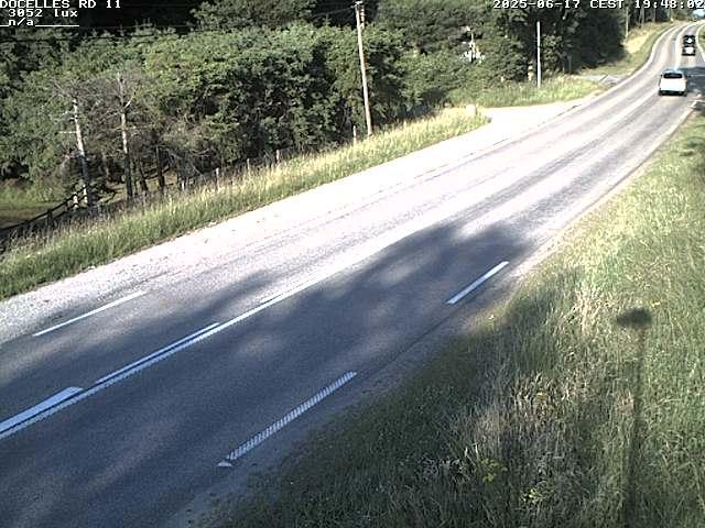 Webcam à 424 mètres d'altitude dans la Tranchée de Docelles dans les Vosges, à proximité d'Epinal sur la route de Gerardmer (D11)