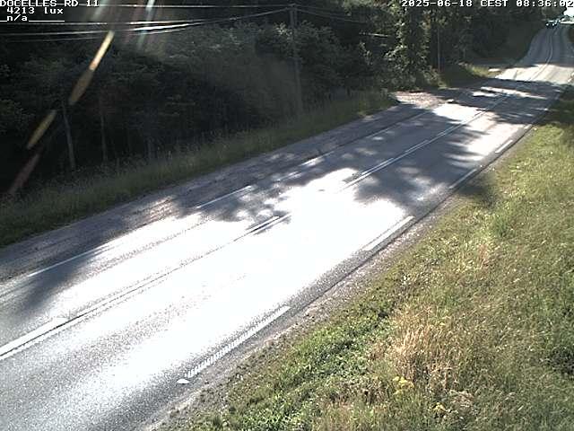 Webcam à 424 mètres d'altitude dans la Tranchée de Docelles dans les Vosges, à proximité d'Epinal sur la route de Gerardmer (D11)