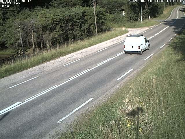 Webcam à 424 mètres d'altitude dans la Tranchée de Docelles dans les Vosges, à proximité d'Epinal sur la route de Gerardmer (D11)