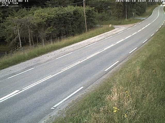 Webcam à 424 mètres d'altitude dans la Tranchée de Docelles dans les Vosges, à proximité d'Epinal sur la route de Gerardmer (D11)