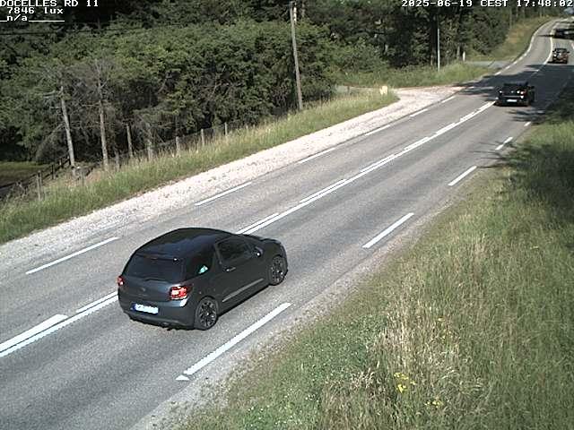 Webcam à 424 mètres d'altitude dans la Tranchée de Docelles dans les Vosges, à proximité d'Epinal sur la route de Gerardmer (D11)