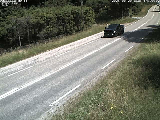 Webcam à 424 mètres d'altitude dans la Tranchée de Docelles dans les Vosges, à proximité d'Epinal sur la route de Gerardmer (D11)