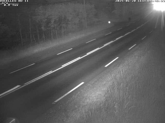 Webcam à 424 mètres d'altitude dans la Tranchée de Docelles dans les Vosges, à proximité d'Epinal sur la route de Gerardmer (D11)